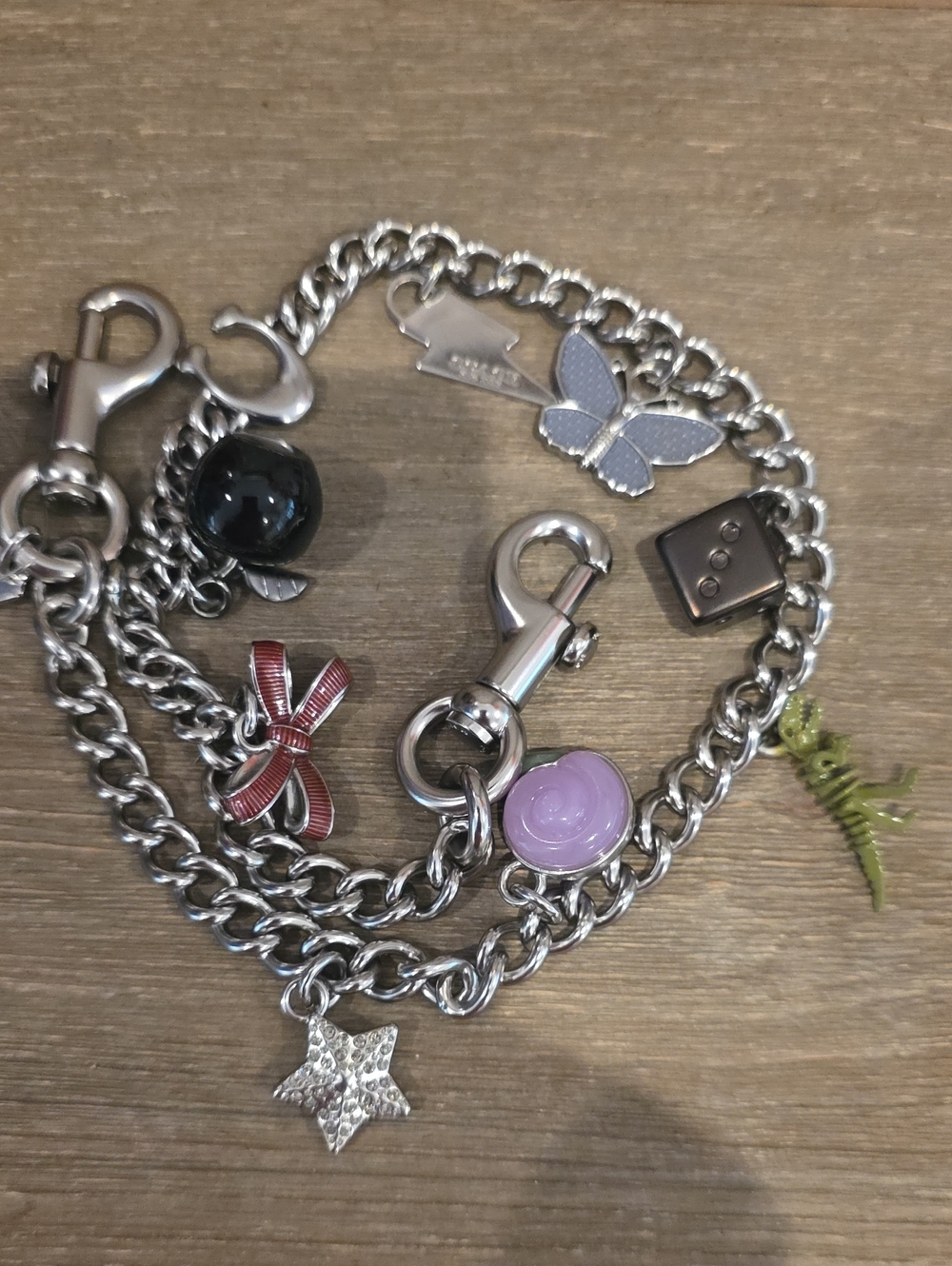 Coach Nwt Charm Chain Strap